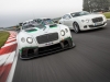 Bentley Continental GT3